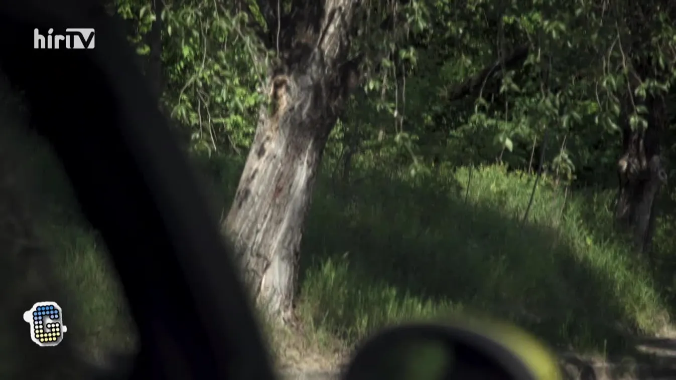 Garázs (2020-05-09)