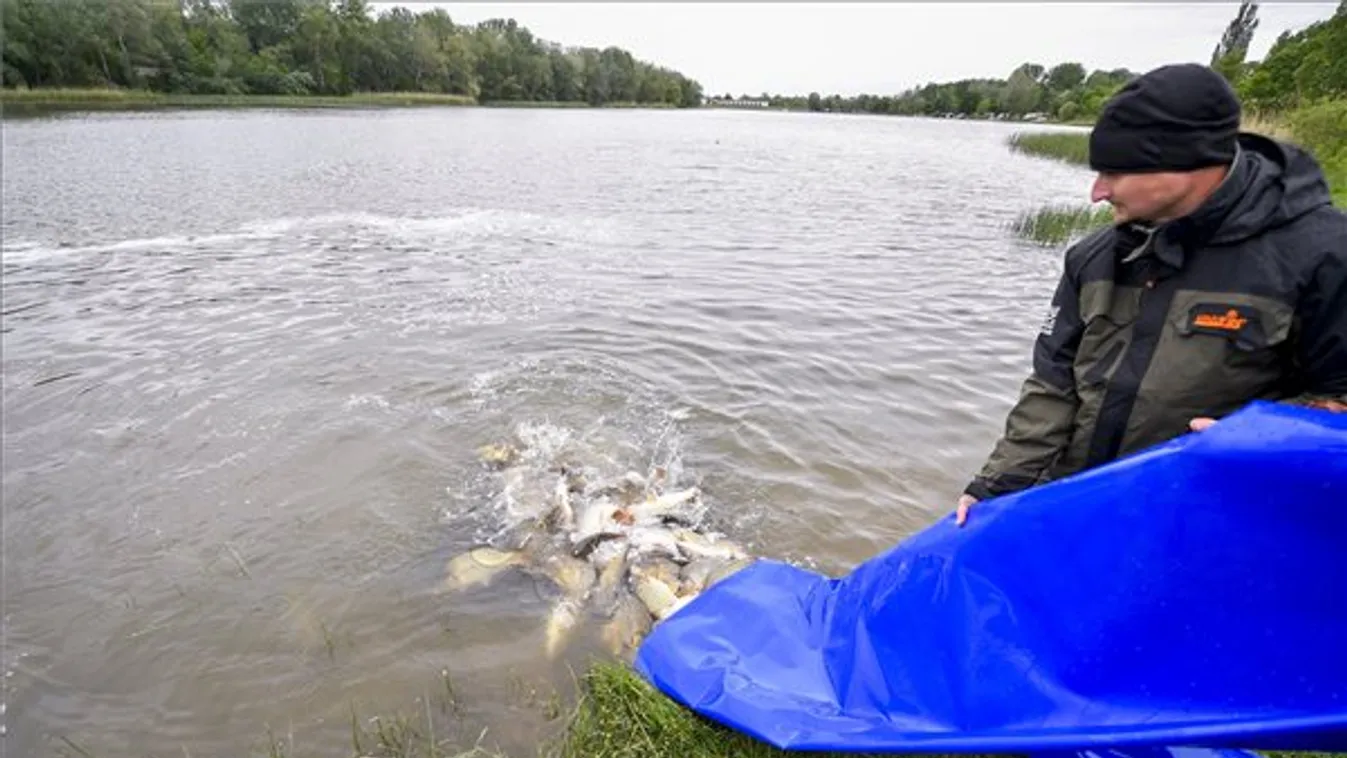 Befejeződött az országos rendkívüli haltelepítés az állami tulajdonú horgászvizeken