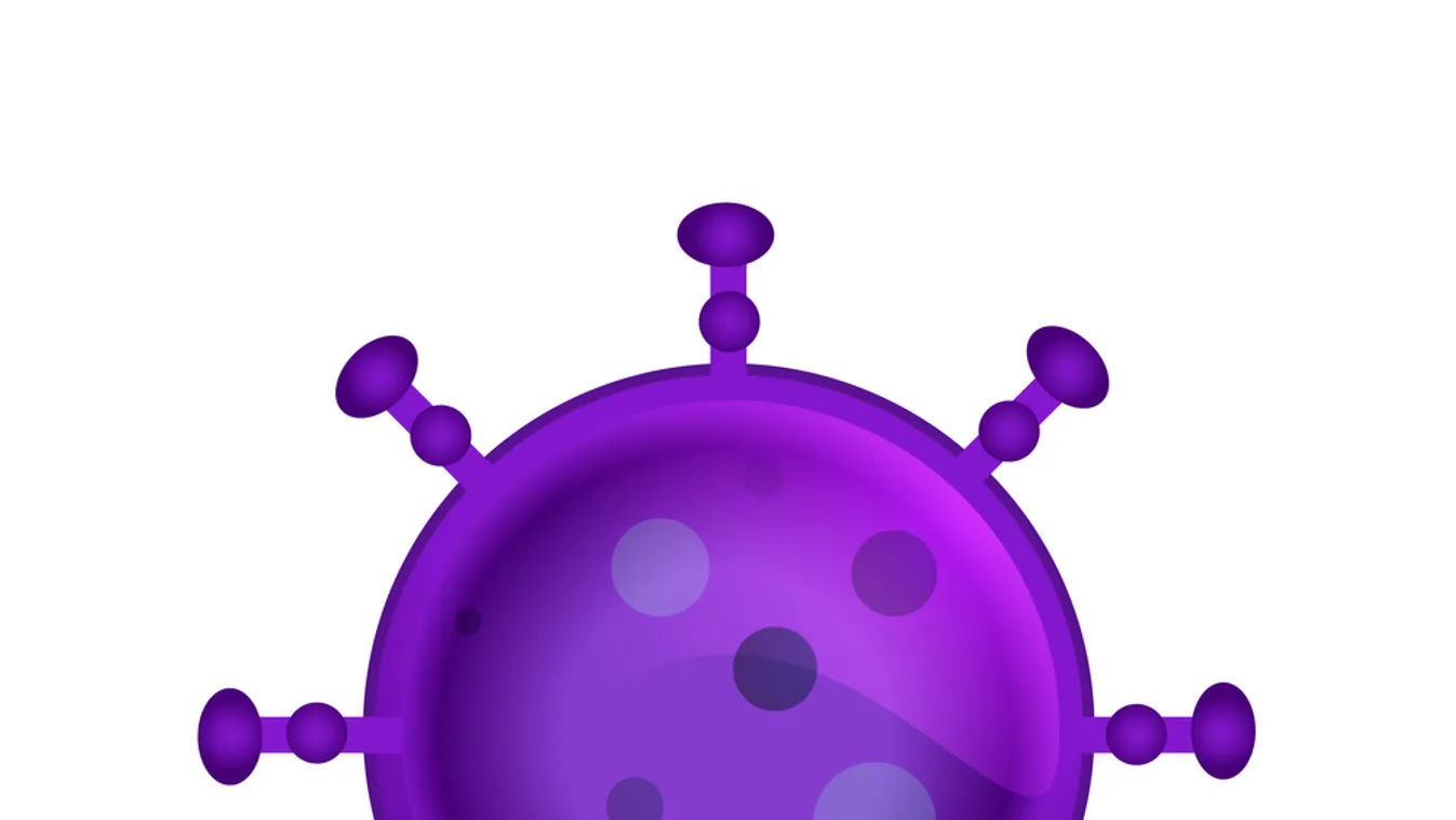 Izolációs konténer a debreceni hajléktalanszállón