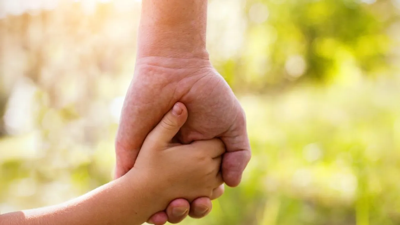 Az örökbefogadások könnyítéséről tárgyalt a Ház