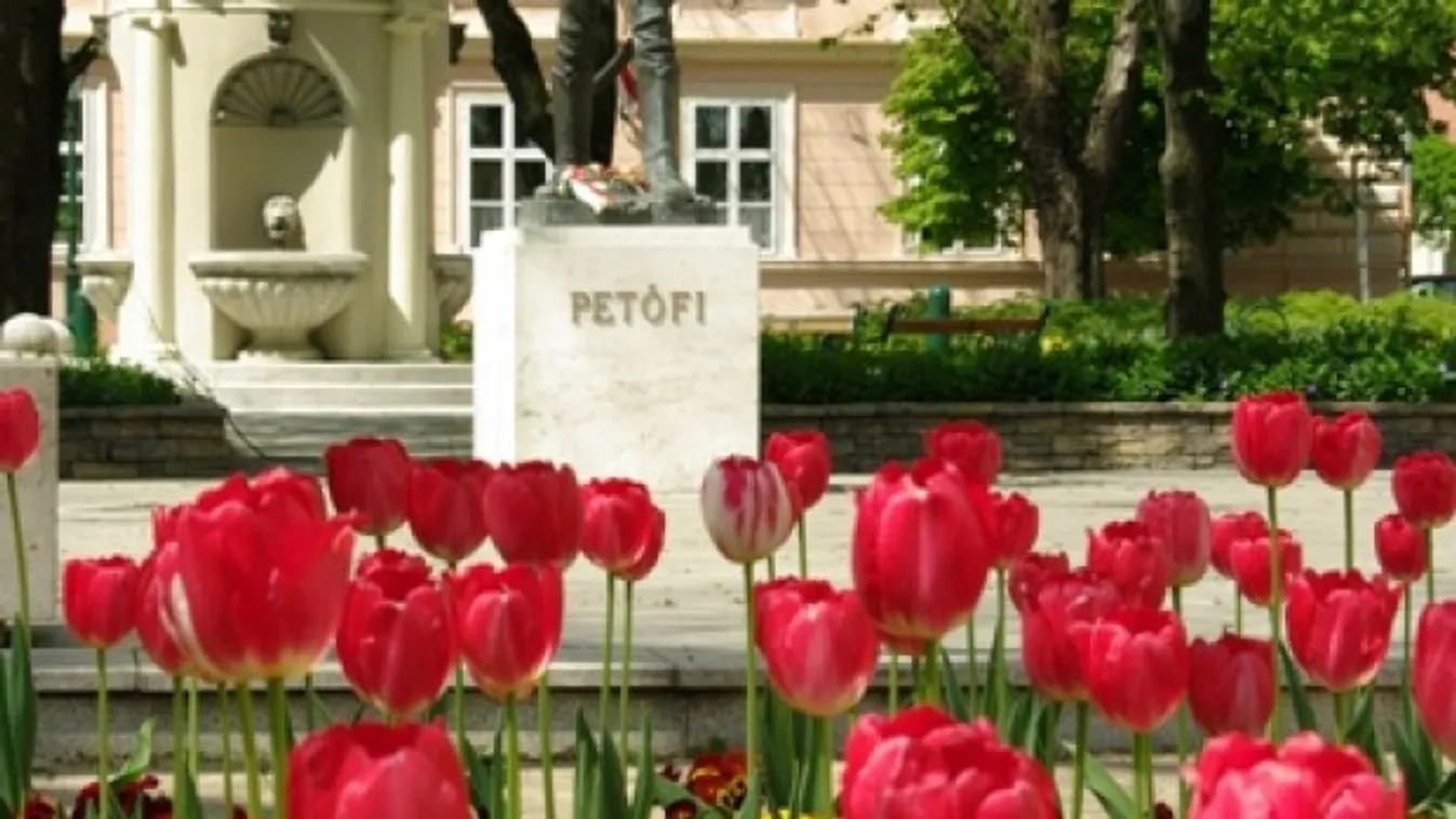 A Magyar Turisztikai Ügynökség idén is meghirdeti a Virágos Magyarország versenyt