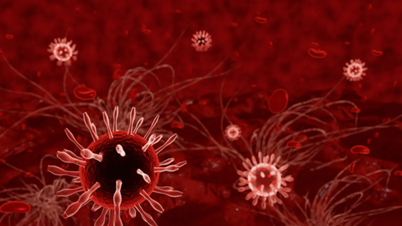 Elhunyt újabb 4 krónikus beteg