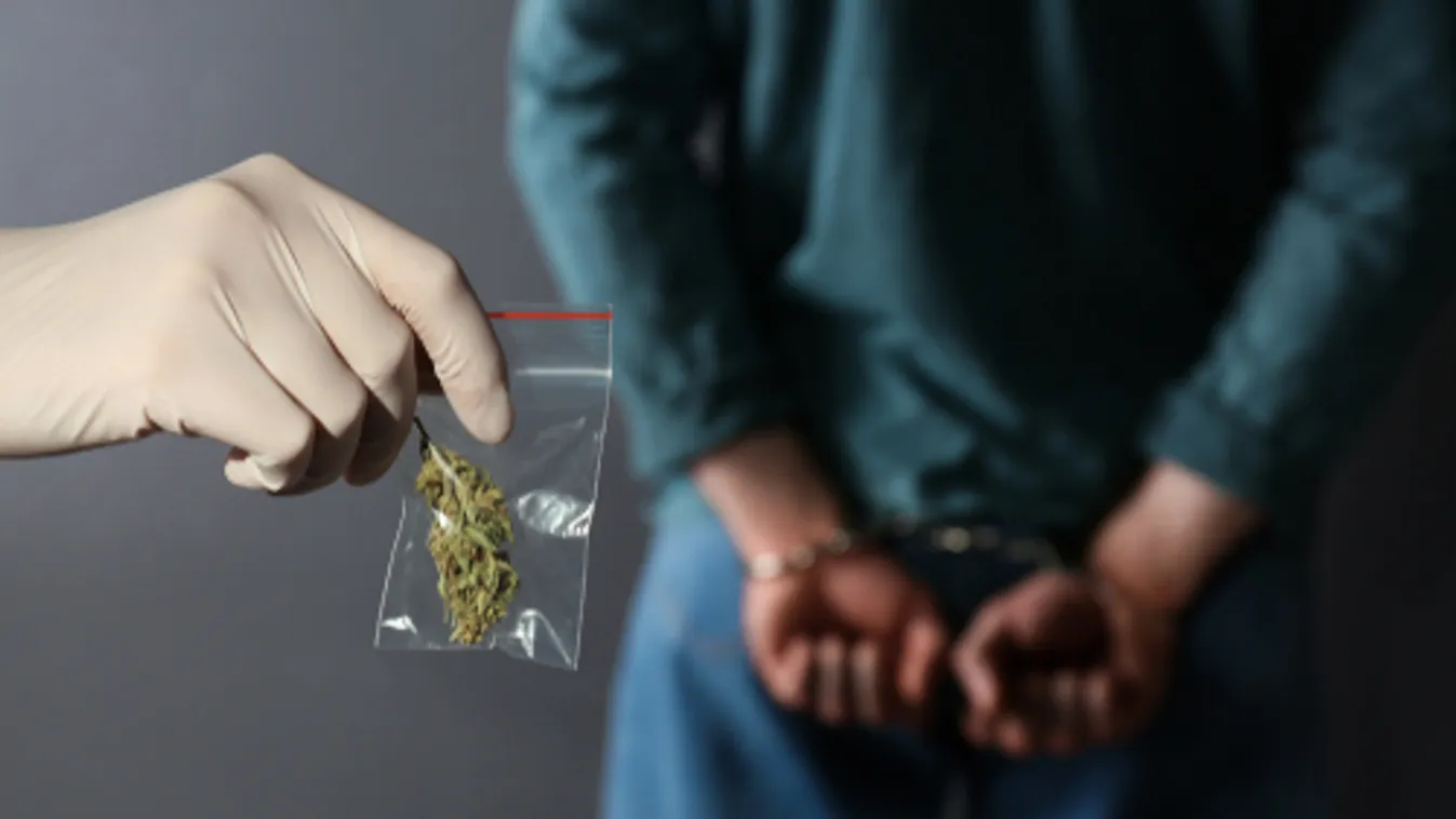Majdnem két kilogramm marihuánát találtak egy budapesti dílernél és vevőjénél