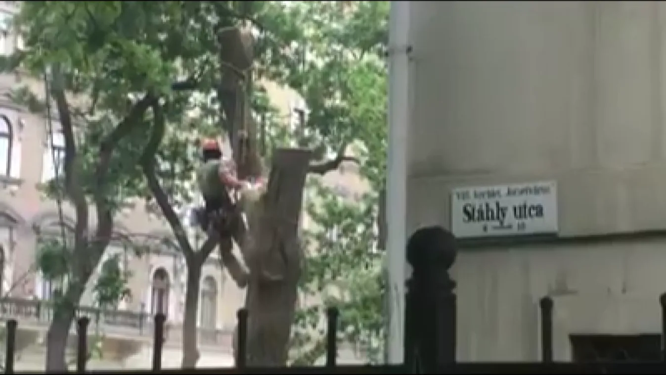 Fákat vágatott ki Pikó András a VIII. kerületben