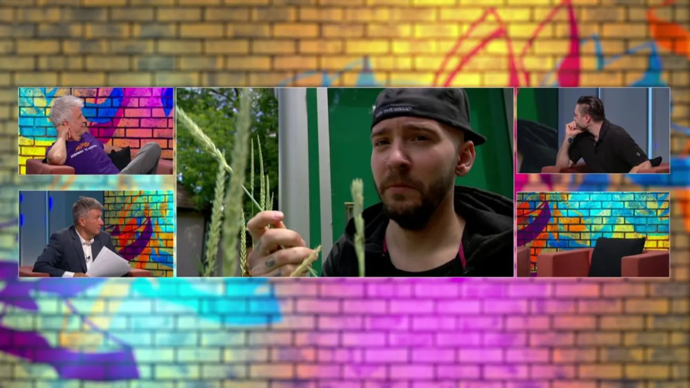 Íme, a bocsánatkérés a HírTV-n történt nácimosdatásért