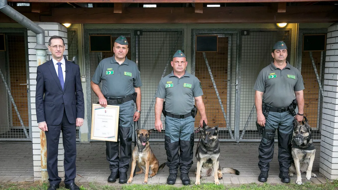 Több száz millió forint értékű piaci árut foglalt le a NAV a felderítő kutyák segítségével