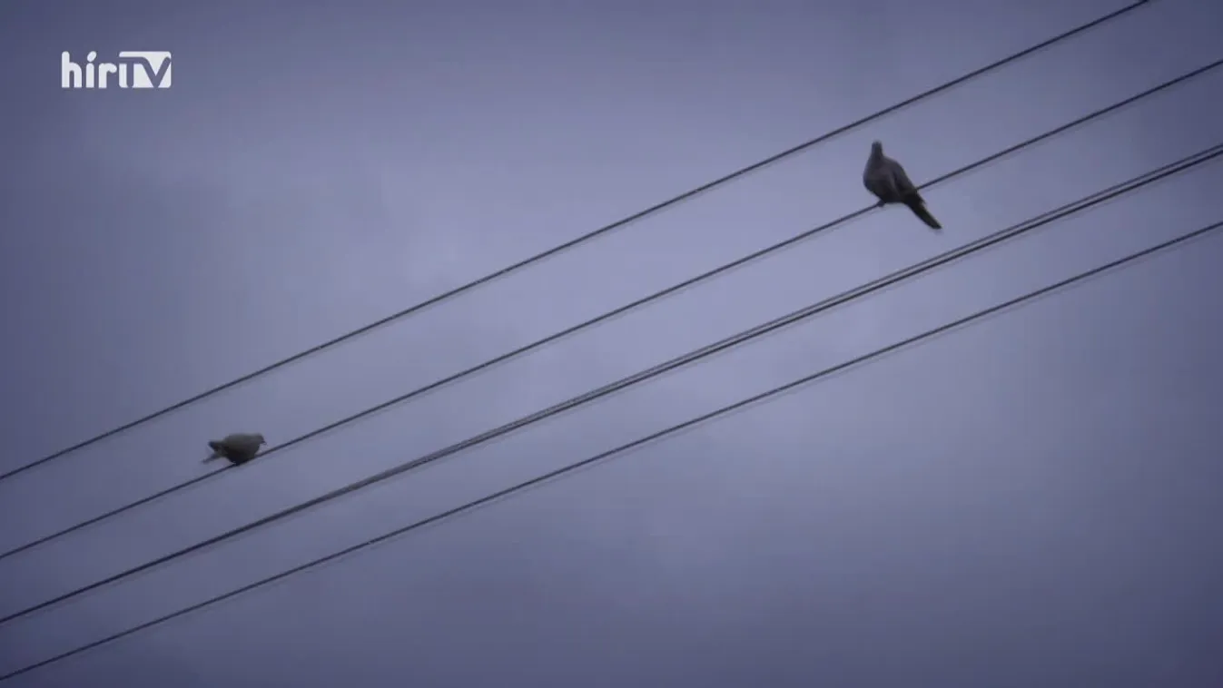 Riasztás (2020-06-16)