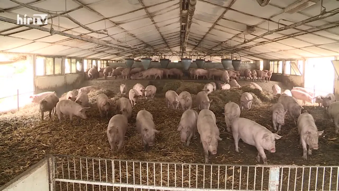 Soroló: 80 milliárd a gazdálkodóknak