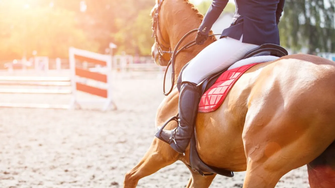 Megnyitotta kapuit a Nemzeti Lovarda