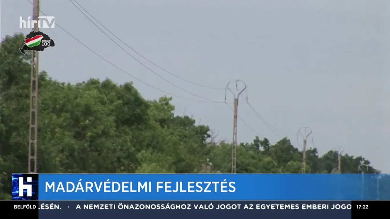 Madárvédelmi fejlesztés