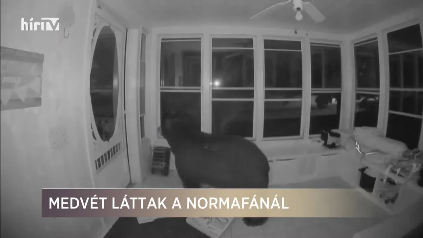 Paletta (2020-07-15)