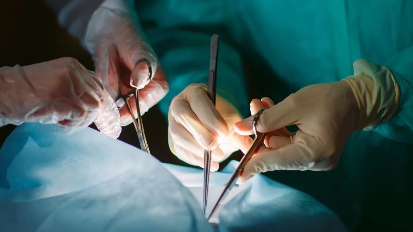 Elvégezték a tizenegyezredik szervátültetést Magyarországon