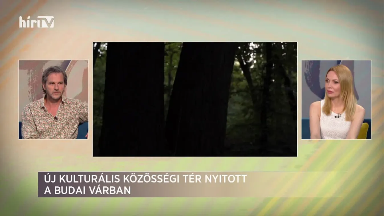 Paletta (2020-07-24)