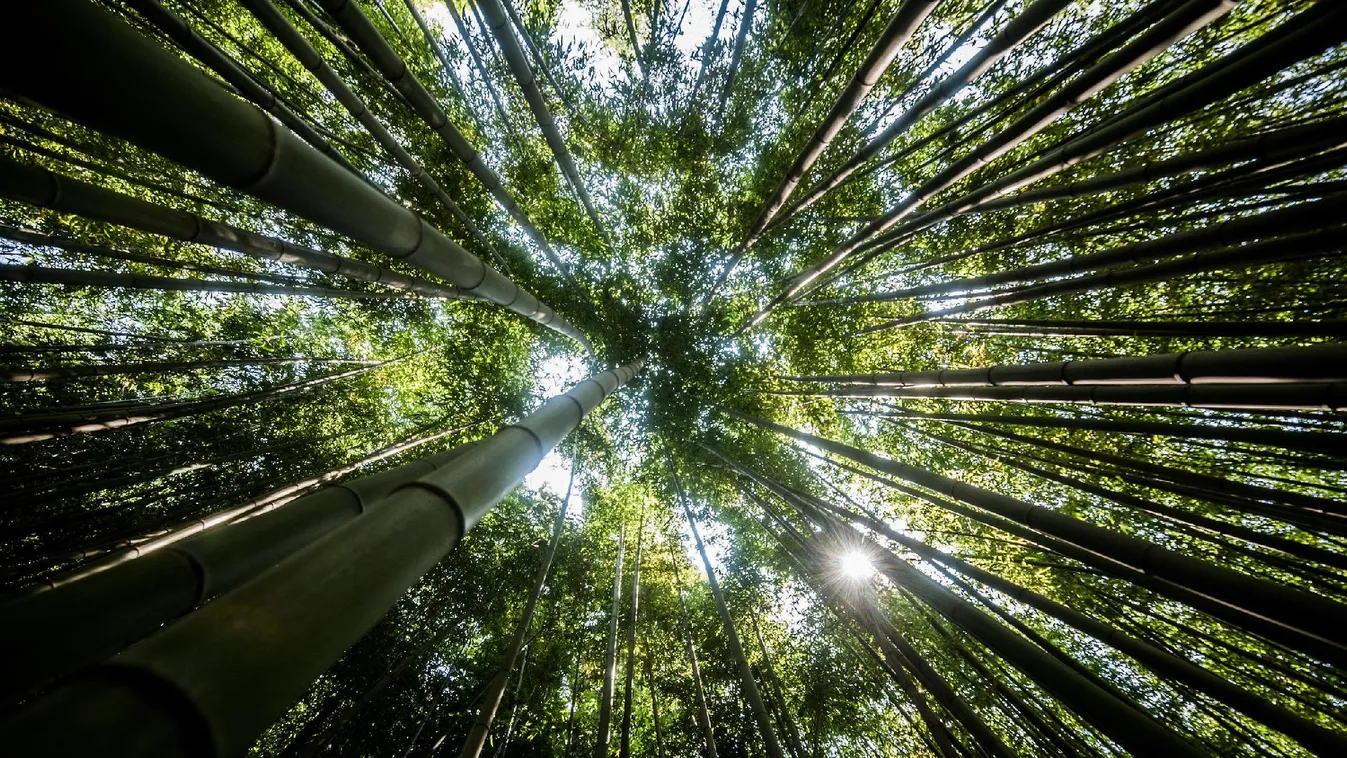 Magyarország természeti kincseit mindenki számára elérhetővé kell tenni