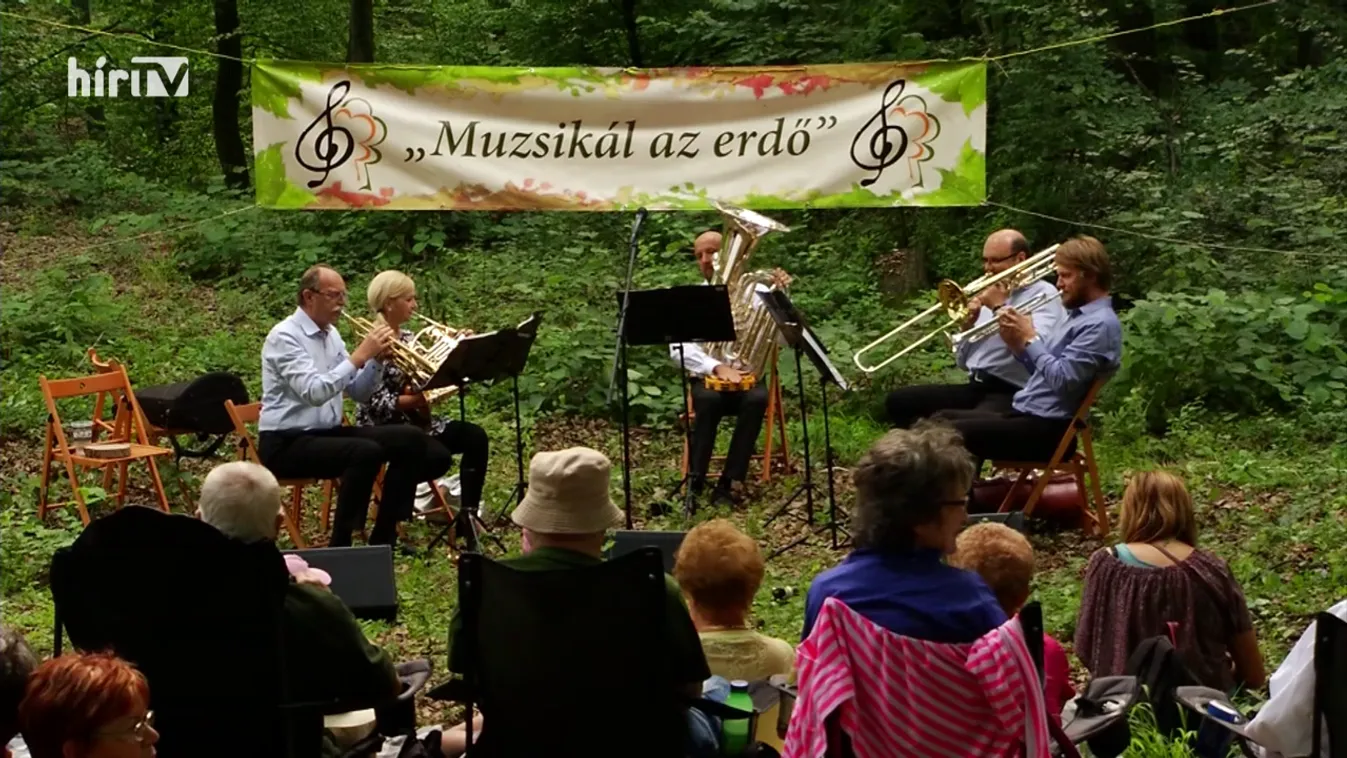 Zöldövezet: Idén is „Muzsikált az erdő”