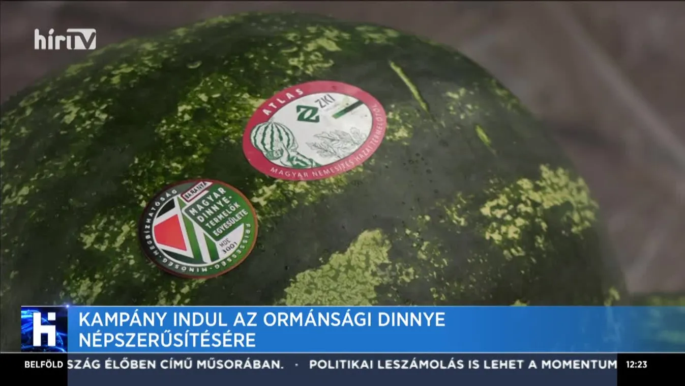 Kampány indul az ormánsági dinnye népszerűsítésére