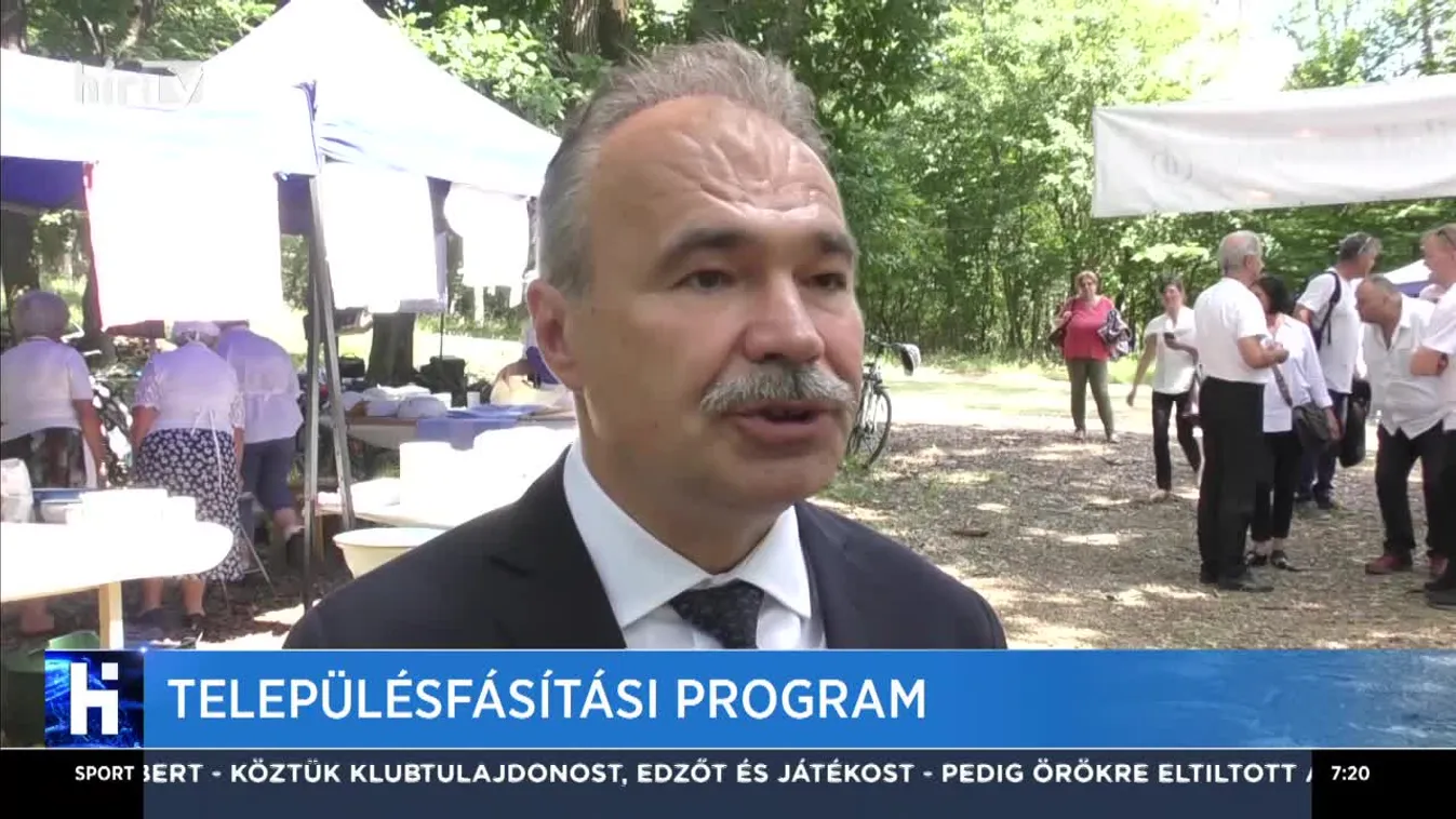 Településfásítási program