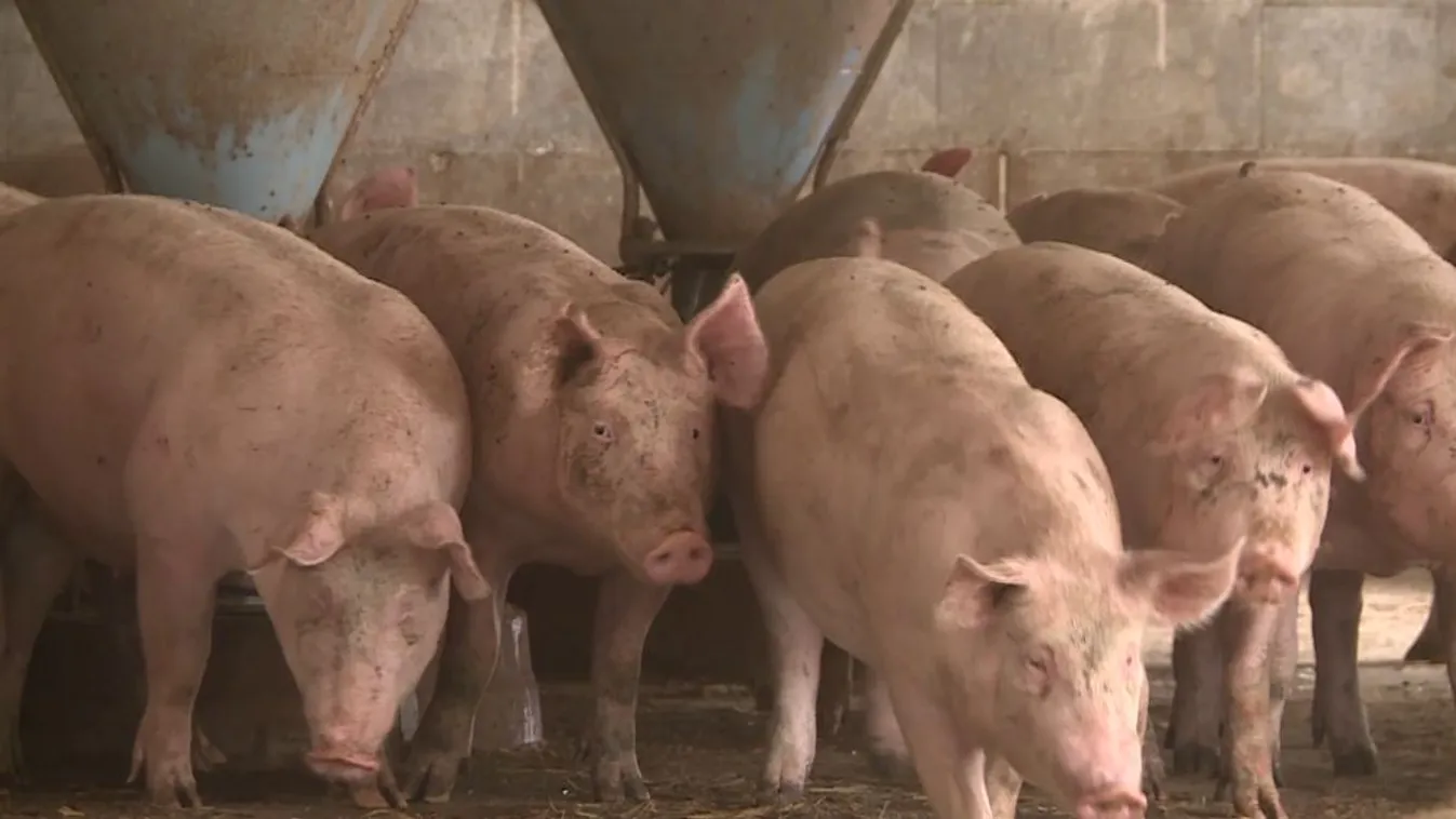 Soroló: 25 milliárdos segítség