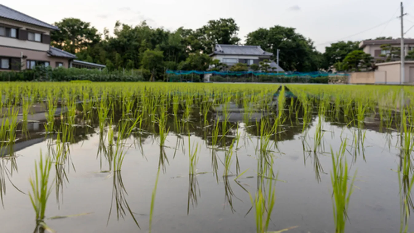 Több mint egymillió embert evakuálnak Japánban a heves esőzések miatt