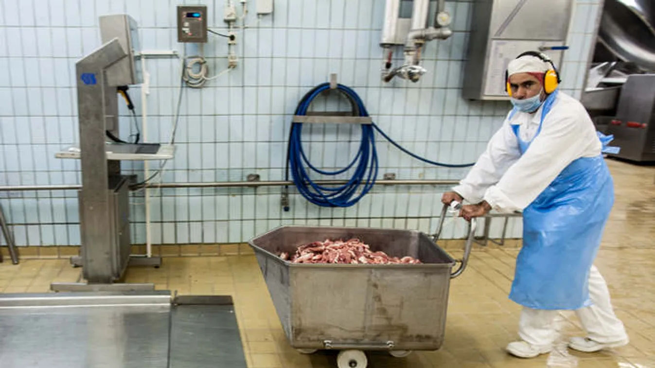 Biztonságosak a hazai húsüzemek