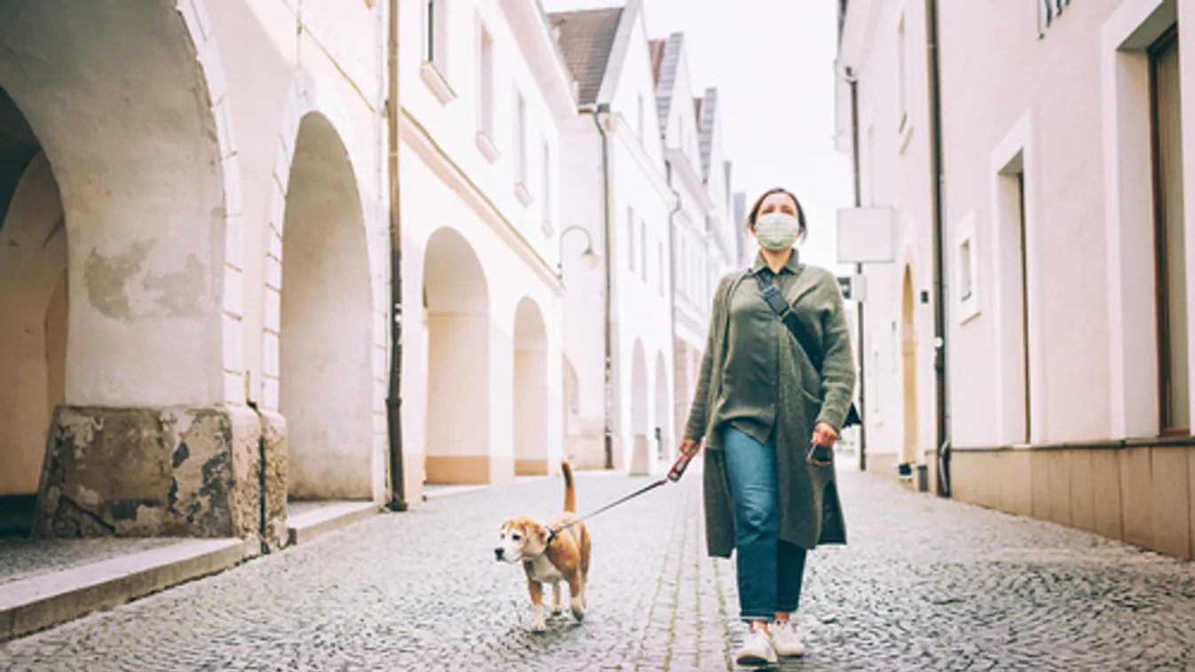 Egyre több állatbetegség terjedhet át emberekre