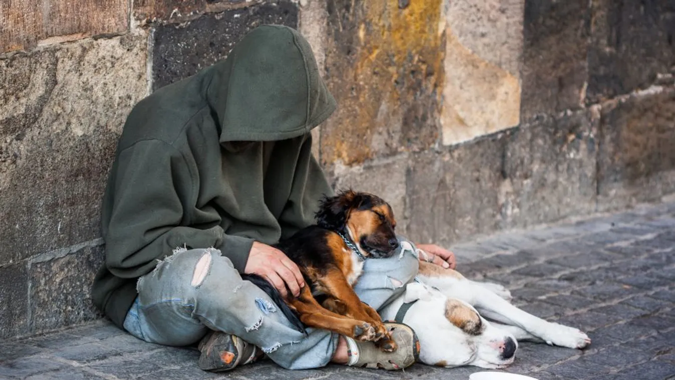 Majdnem minden második hajléktalan közterületen húzza meg magát