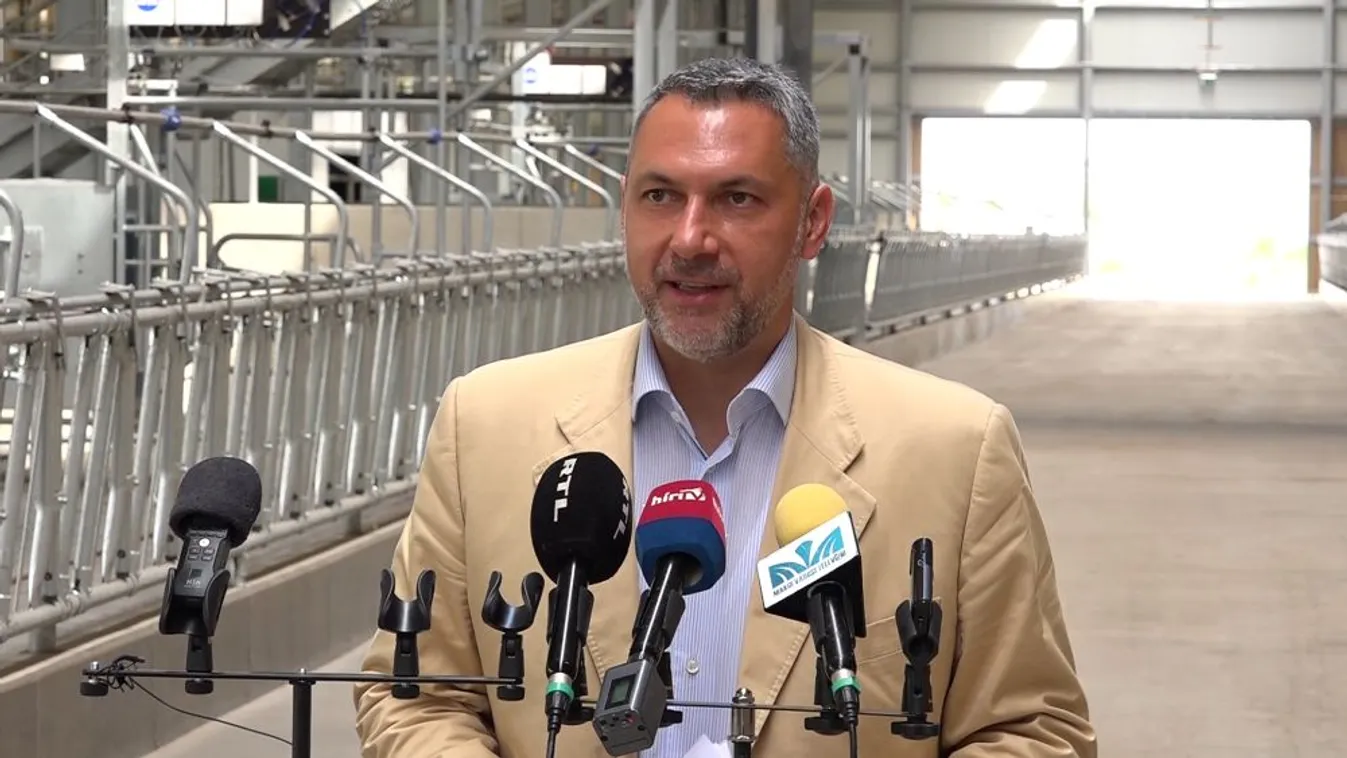 Robotizálják a mezőhegyesi szarvasmarhatelepet