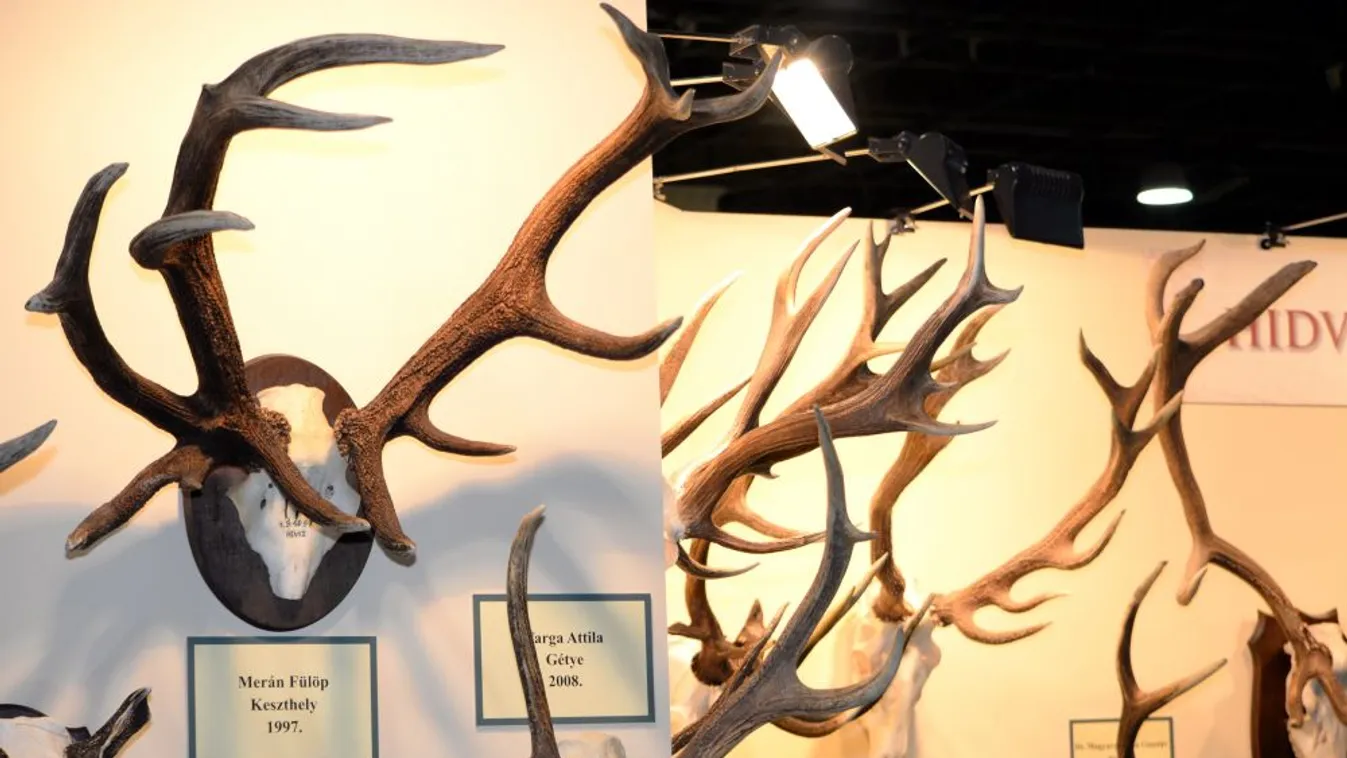 Vadászati évadnyitó a Sohollári-völgyben