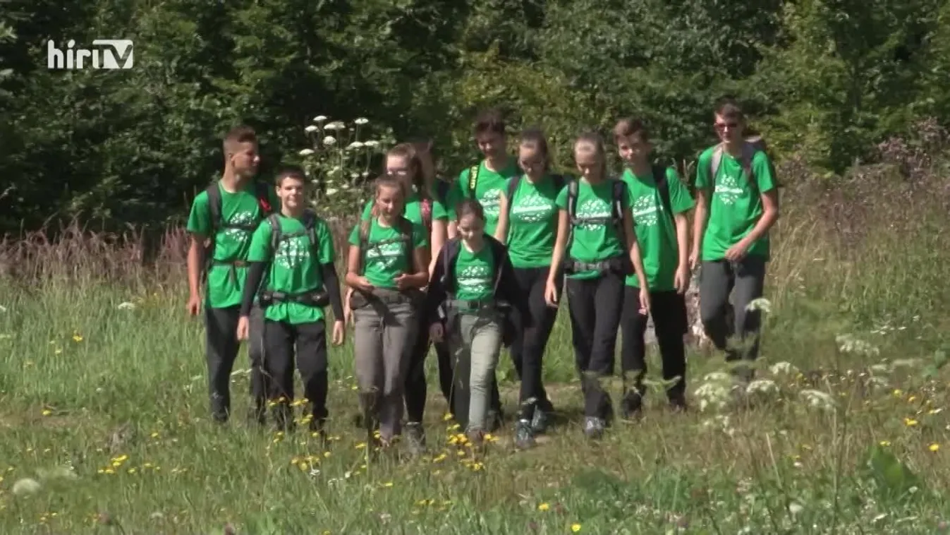 Zöldövezet: Az erdő több mint látványosság és élettér