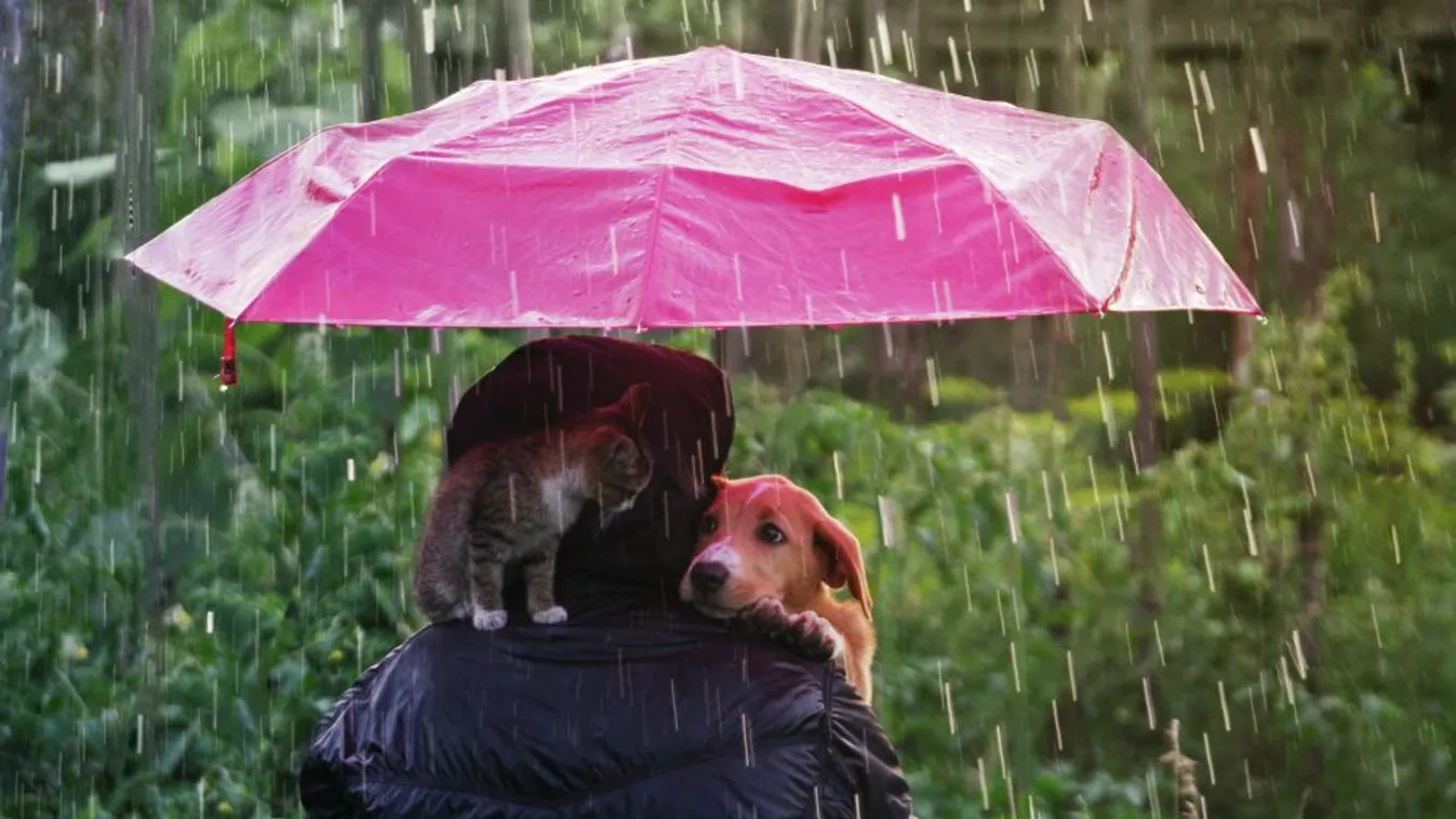 Zivatarveszély miatt másodfokú riasztások a Nyugat-Dunántúlon