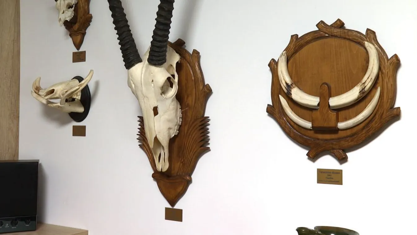 Változik a vadkárrendezés és a trófeabírálat