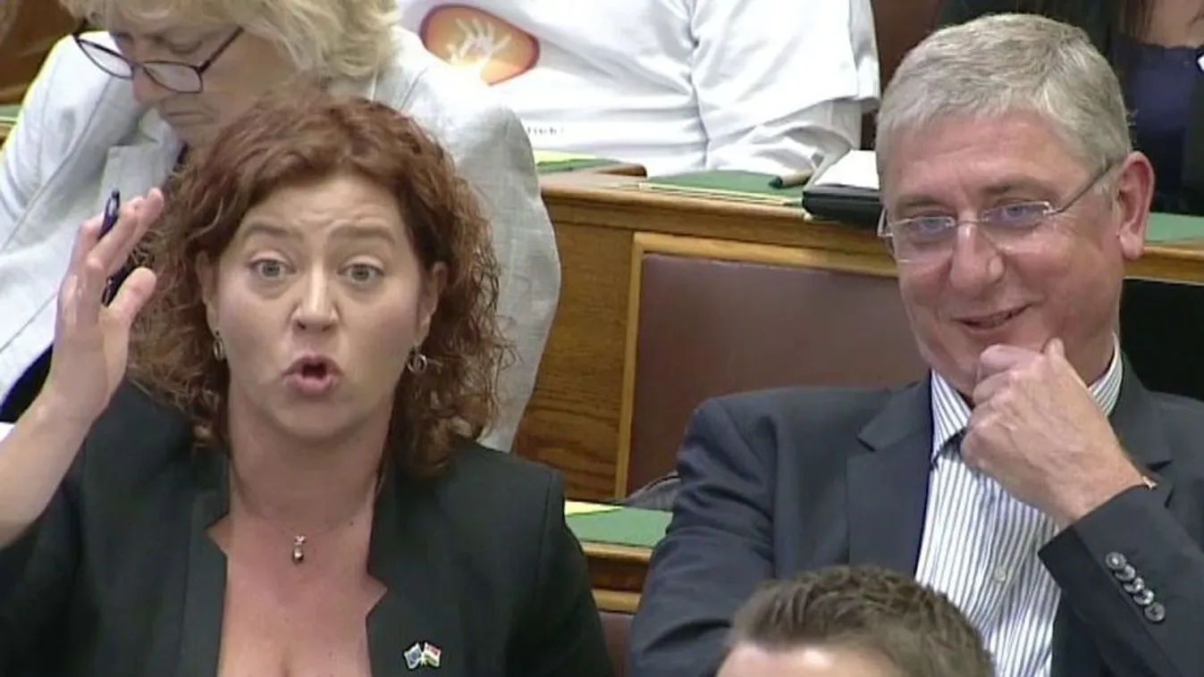 Schiffer: Tévedtem, hogy ezeket posztbolsevikoknak neveztem