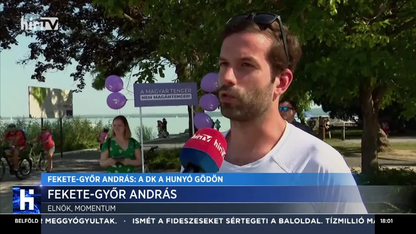 Fekete-Győr András: A DK a hunyó Gödön