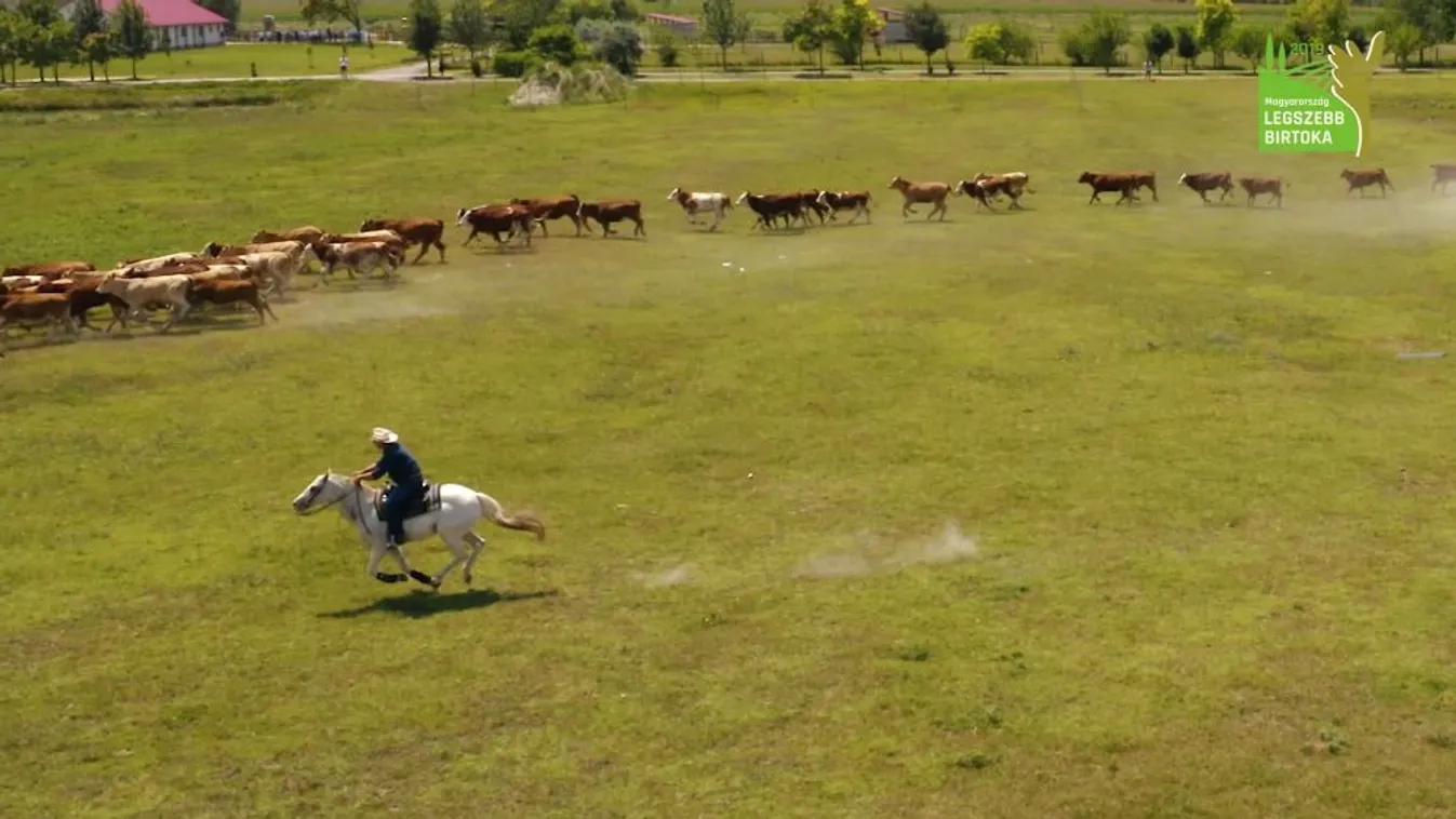 Soroló: Keressük Magyarország legszebb birtokát