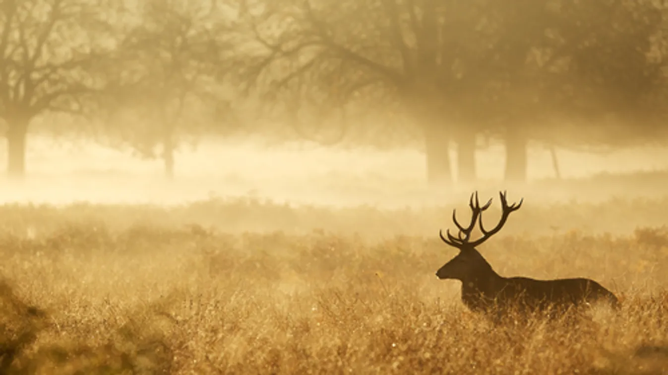 Megnyílt a Zalai Vadászati Oktatási Központ