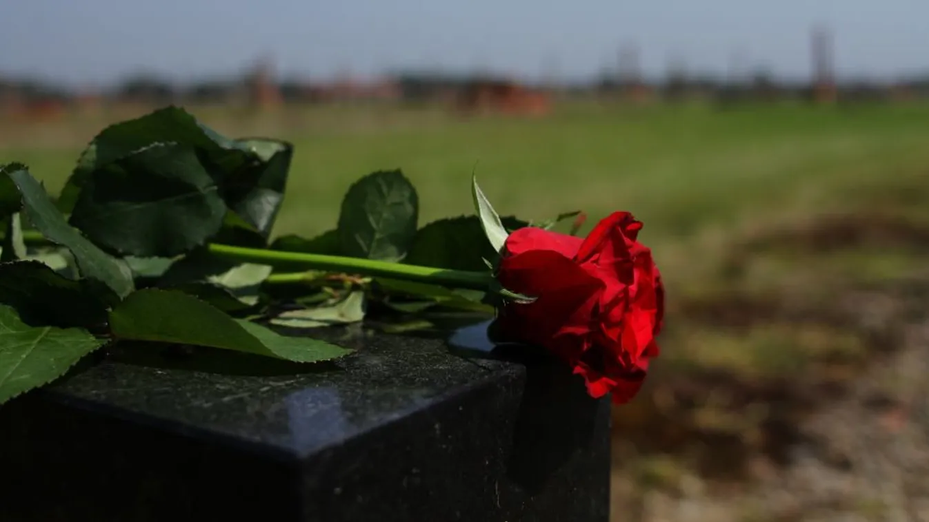 Ma van a roma holokauszt emléknapja