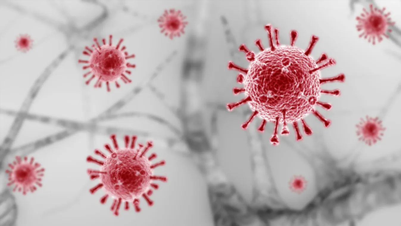 40 fővel emelkedett a beazonosított fertőzöttek száma és nincs újabb elhunyt