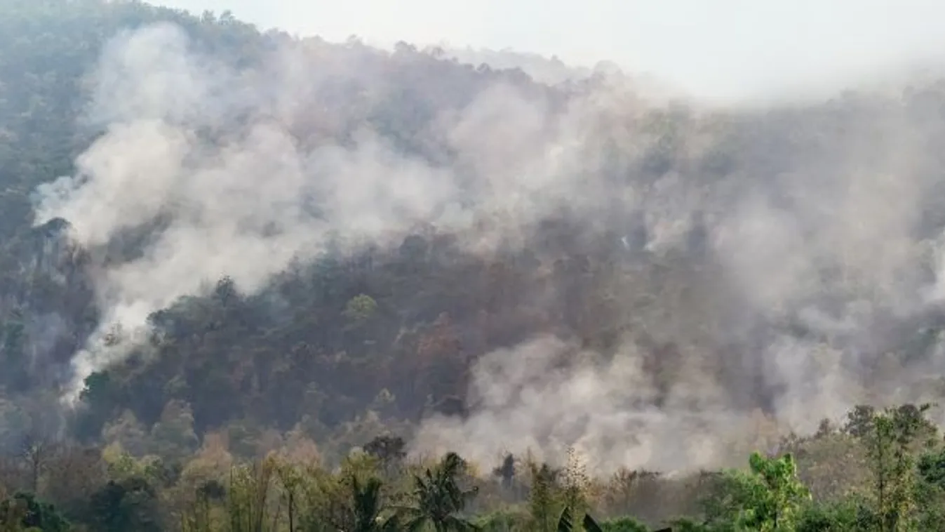 Tovább nőtt az amazóniai erdőtüzek száma