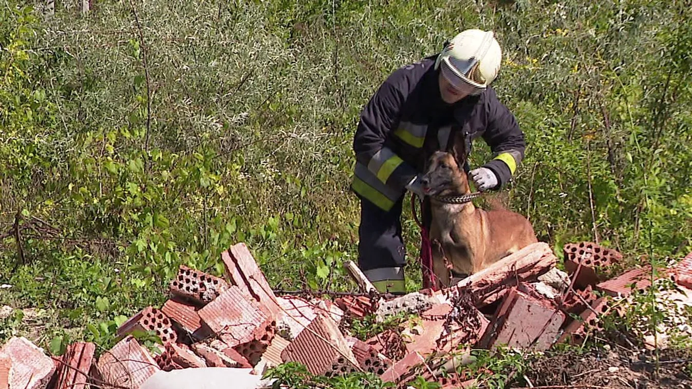 Mentőkutyák vizsgáztak Zsámbékon