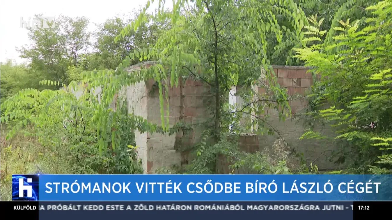Strómanok vitték csődbe Bíró László cégét