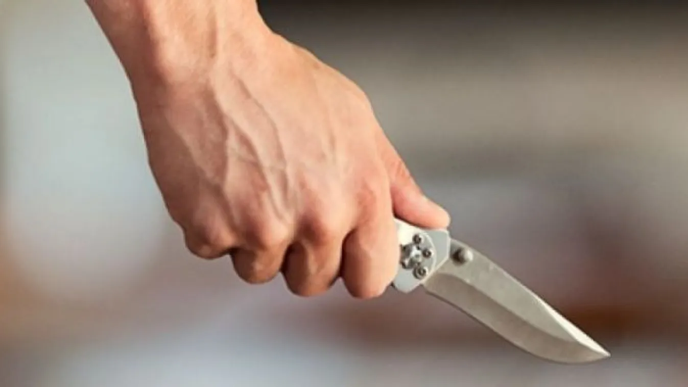 Csak részben ismerte be bűnösségét a tanárát Győrben megkéselő fiú