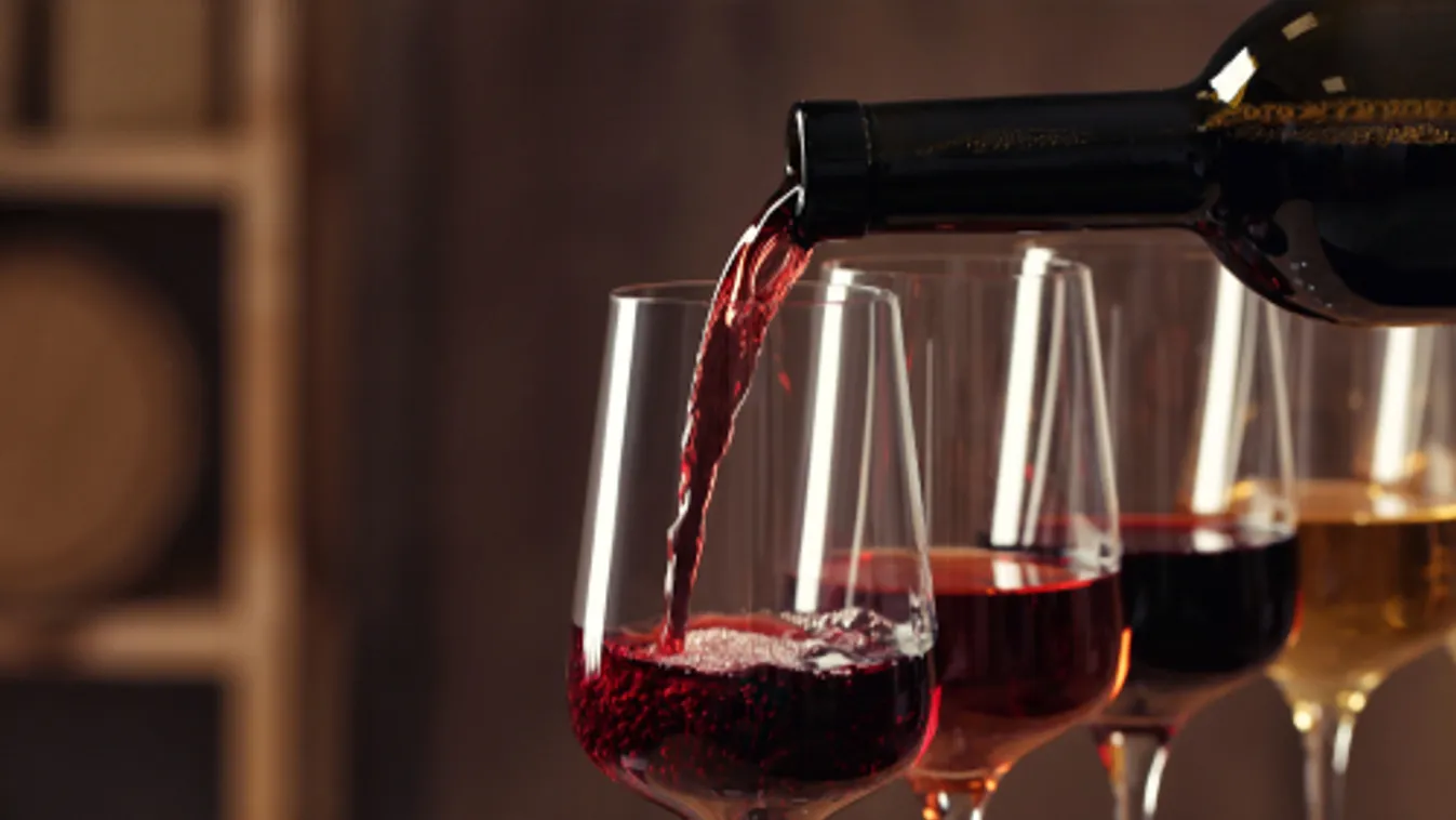 Megnyitotta kapuit a Budapesti Borfesztivál