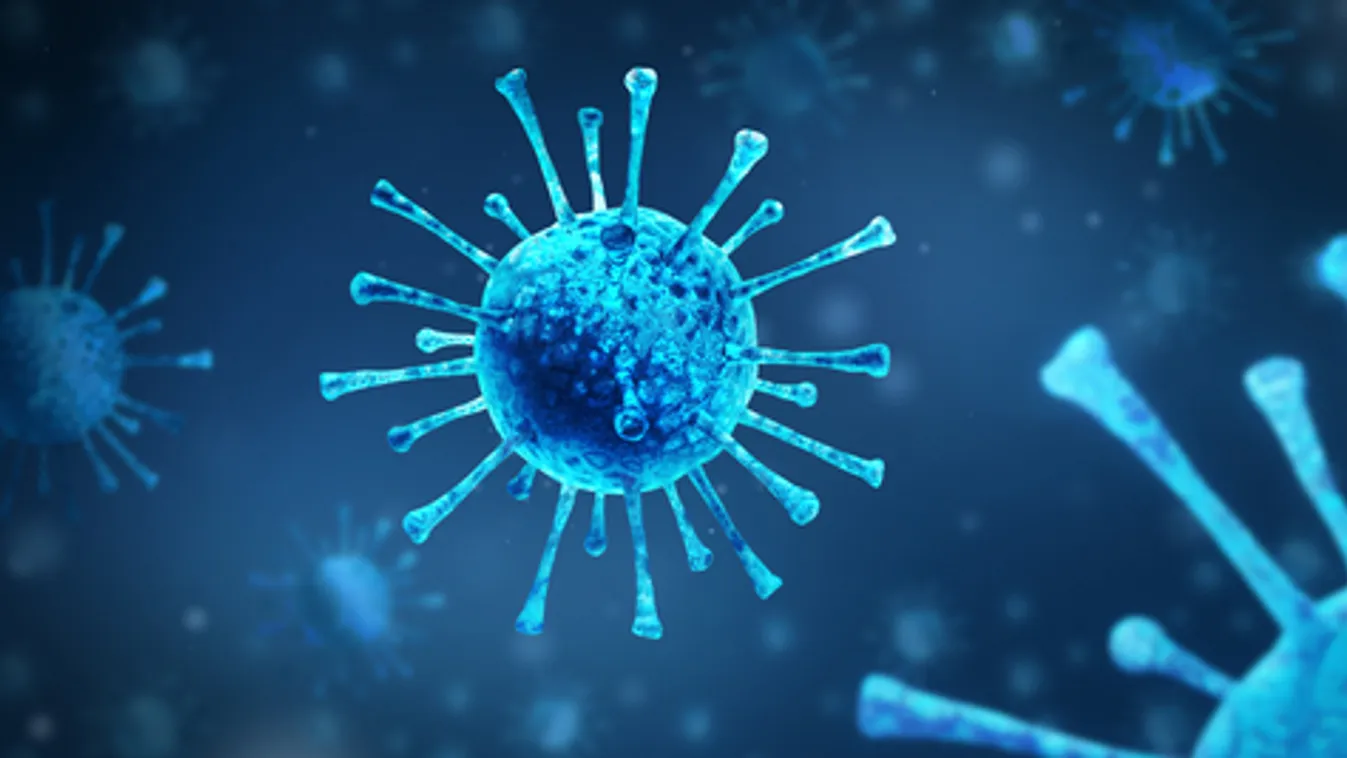 Már pár héten belül nagyon lecsökken a gyógyultak zömében az antitestek száma