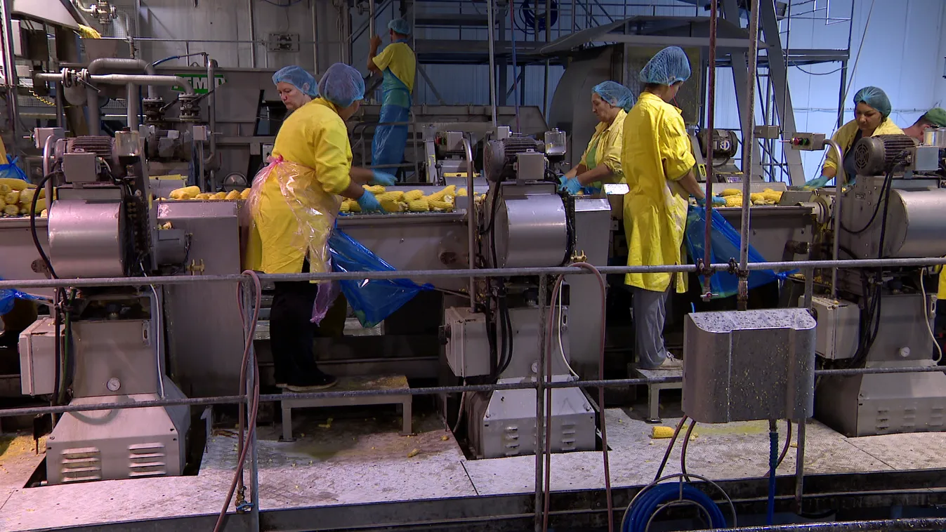 Többen dolgoznak, mint év elején