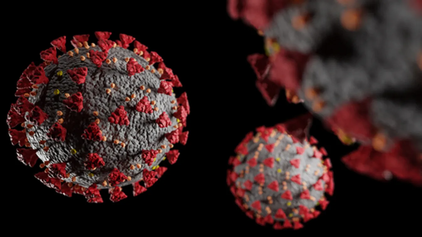 Elhunyt 8 beteg, 851-gyel emelkedett a beazonosított fertőzöttek száma