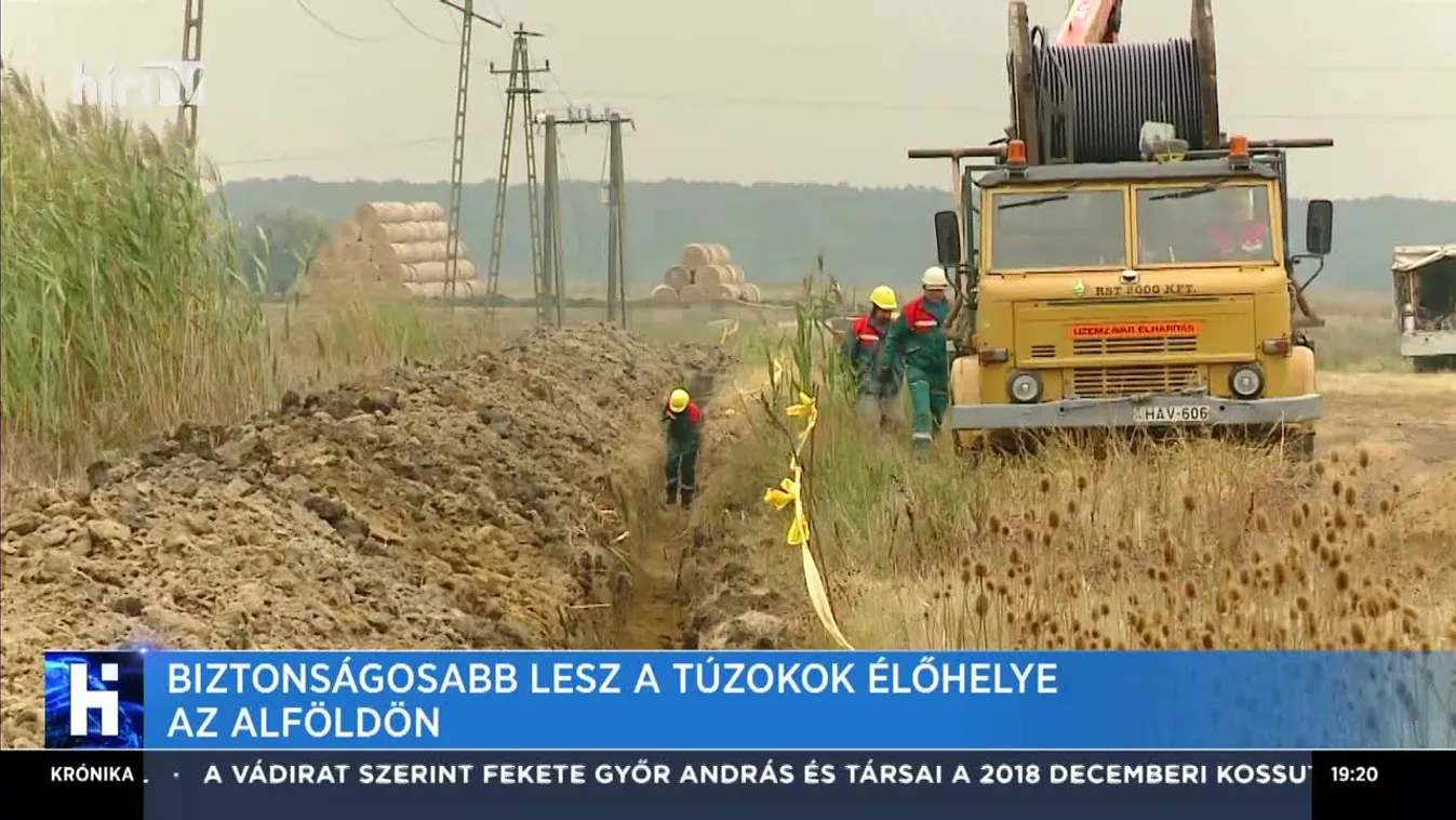 Biztonságosabb lesz a túzokok élőhelye az Alföldön