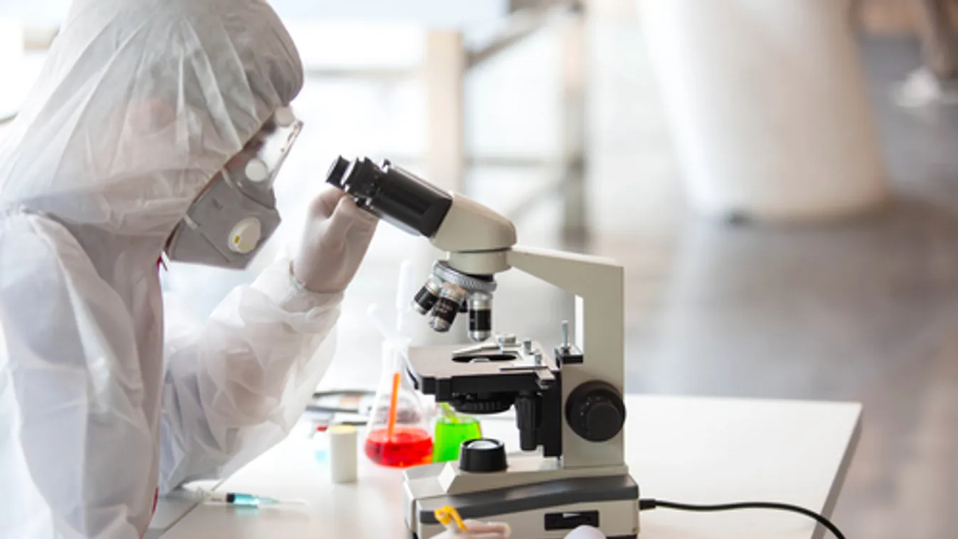 Az elsők között sikerült magyar kutatóknak megvizsgálniuk az aktív vírus szerkezetét