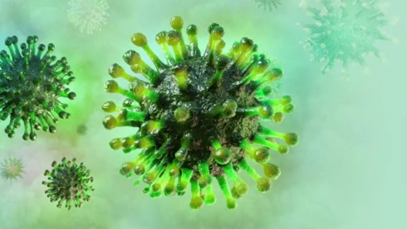 A fertőzés új mechanizmusát fedezték fel szegedi kutatók