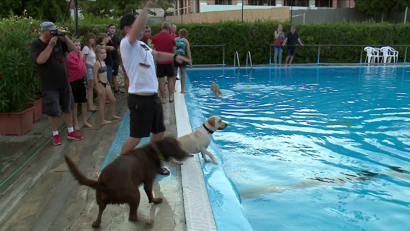 Kutyás strandzáró