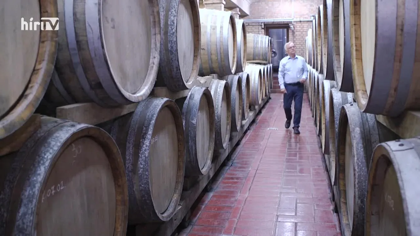 Soroló: Bemutatkozott a Tornai Pincészet